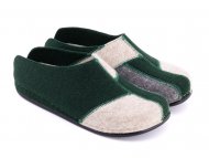 GEMINI Green