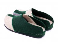 GEMINI Green